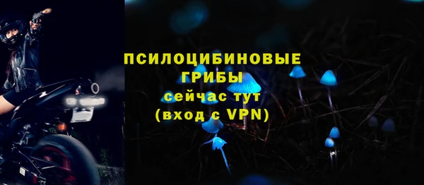 стафф Абдулино