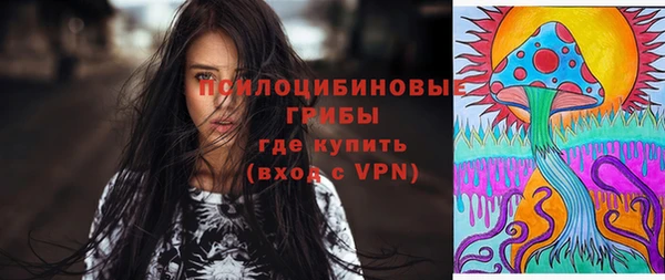 PSILOCYBIN Нефтегорск