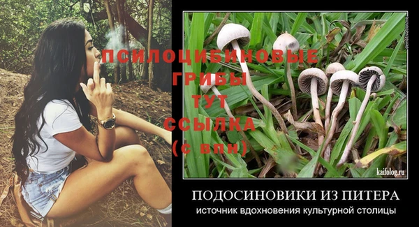 стафф Абдулино