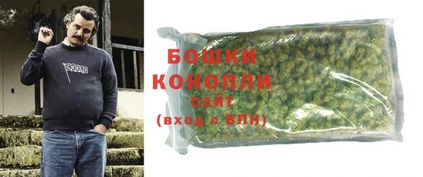 PSILOCYBIN Нефтегорск