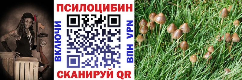Галлюциногенные грибы Psilocybine cubensis  Котельнич 